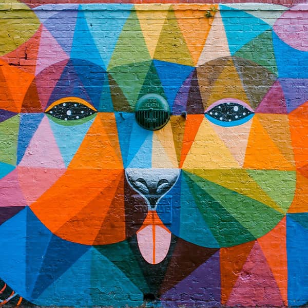 bear illustration graffitti